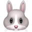 🐰