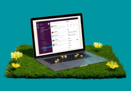 Slack on a laptop on a bed of grass