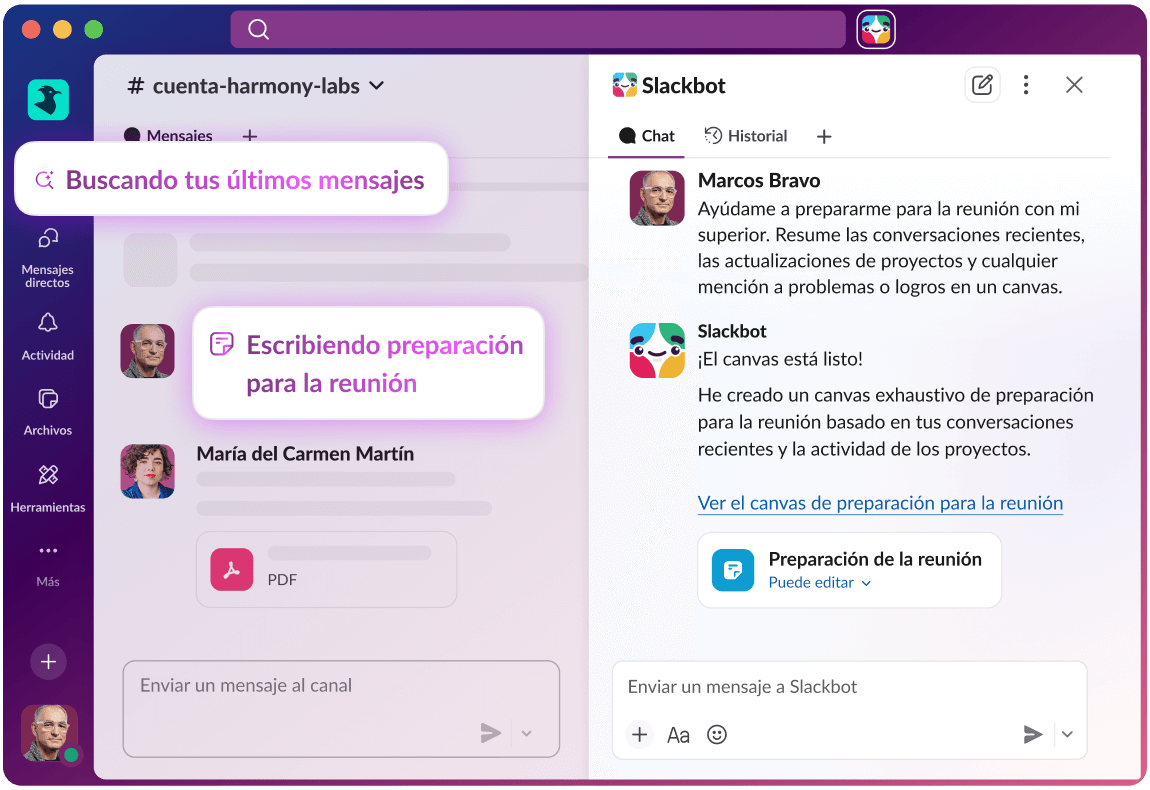 Ayúdame a prepararme para la reunión con mi superior. Resume las conversaciones recientes, las actualizaciones de proyectos y cualquier mención a problemas o logros en un canvas.
