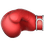 :boxing_glove: