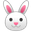 :rabbit: