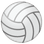:volleyball: