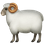 :ram: