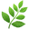 :herbe: