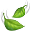 :leaves:
