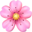 🌸