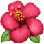 🌺