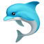 🐬