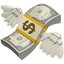 💸