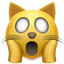 🙀