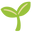 :seedling:
