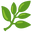:herb: