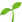 :芽: