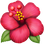 :hibiscus: