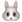 :rabbit: