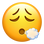 :face_exhaling: