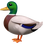 :duck: