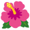 :hibiscus: