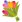 :bouquet: