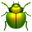:beetle: