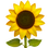 :sunflower: