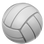 :volleyball: