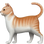 :猫_2: