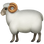 :ラム: