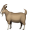 :goat: