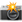 :camera_with_flash: