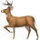 :deer: