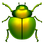 :beetle: