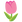 :チューリップ: