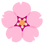 :fleur_cerisier: