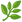 :ハーブ: