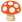 :きのこ: