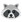 :raccoon: