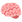 :cérebro: