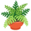 :鉢植え: