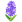 :ヒヤシンス: