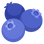 :ブルーベリー: